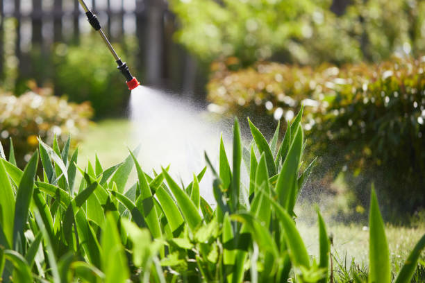 24/7 Emergency Ant Control experts in Somerset, NJ