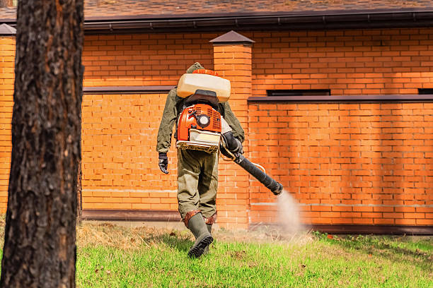 Trusted Rodent Control service in Somerset, NJ - Nex Pest Control